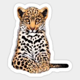 Cute Leopard Drawing Sticker